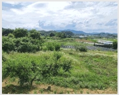  2025Ÿ��30609 ��� ���ֽ� �ݰ��� ��ϸ� 154-1      ����(��1)���