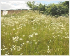  2025Ÿ��30609 ��� ���ֽ� �ݰ��� ��ϸ� 154-1      ����(��1)���