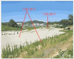  2025Ÿ��30635  �Ӿ߰��