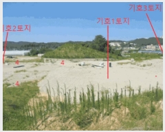  2025Ÿ��30635  �Ӿ߰��