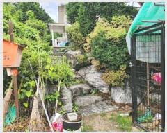  2025Ÿ��30647 ��� ���ֽ� ������ ���ϸ� 120-5      ���ð��