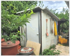  2025Ÿ��30647 ��� ���ֽ� ������ ���ϸ� 120-5      ���ð��