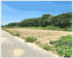  2025Ÿ��30669  �����