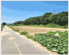  2025Ÿ��30669  �����