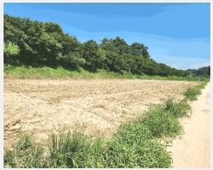  2025Ÿ��30669  �����