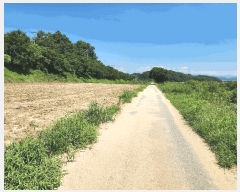  2025Ÿ��30669  �����