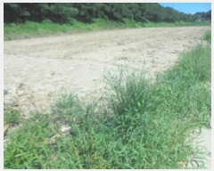  2025Ÿ��30669  �����