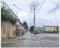  2025Ÿ��30694 ��� ������ ��Ҹ� ��ǳ�� 388      ������