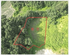  2025Ÿ��30757 ��� ������ ��Ҹ� ������ 166-1      ����(��1)���