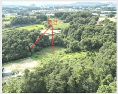  2025Ÿ��30757 ��� ������ ��Ҹ� ������ 166-1      ����(��1)���