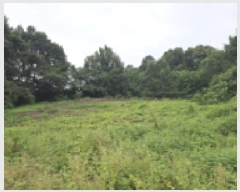  2025Ÿ��30757 ��� ������ ��Ҹ� ������ 166-1      ����(��1)���