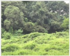  2025Ÿ��30757 ��� ������ ��Ҹ� ������ 166-1      ����(��1)���