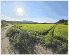  2025Ÿ��30777 ��� ���ֽ� �ݰ��� �ϴ㸮 388      ����(��)���