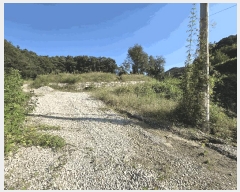  2025Ÿ��30788  �Ӿ߰��