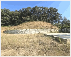  2025Ÿ��30788  �Ӿ߰��