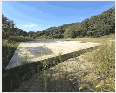  2025Ÿ��30788  �Ӿ߰��