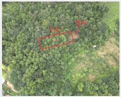  2025Ÿ��30813 ��� ���ֽ� �Ӽ��� ������ ��4-34      ����(�Ӿ�)���