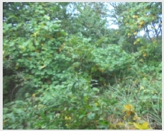  2025Ÿ��30813 ��� ���ֽ� �Ӽ��� ������ ��4-34      ����(�Ӿ�)���