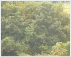  2025Ÿ��30813 ��� ���ֽ� �Ӽ��� ������ ��4-34      ����(�Ӿ�)���