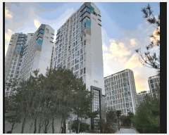  2025Ÿ��30907 ��� ���ֽ� �߾�ž�� ������ 696 �ſ��񰡷ξ���Ʈ 111�� 3��301ȣ   ����Ʈ���