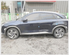  2025Ÿ��30946  �������