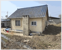  2025Ÿ��392  �������