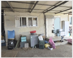  2025Ÿ��392  �������