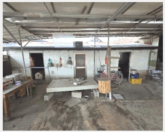  2025Ÿ��392  �������