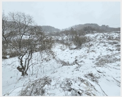  2025Ÿ484    õ 742      ()