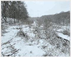  2025Ÿ484    õ 742      ()