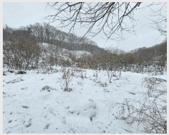  2025Ÿ484    õ 742      ()