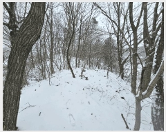  2025Ÿ484    õ 742      ()