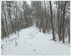  2025Ÿ484    õ 742      ()