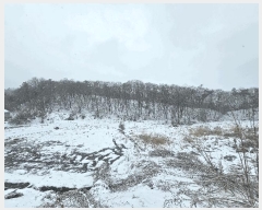  2025Ÿ484    õ 742      ()