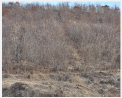  2025Ÿ484    õ 742      ()