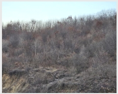  2025Ÿ484    õ 742      ()