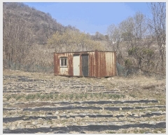  2025Ÿ��737  �����