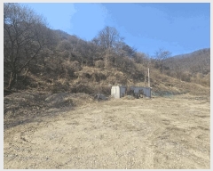  2025Ÿ��737  �����