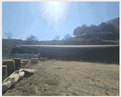  2025Ÿ��737  �����