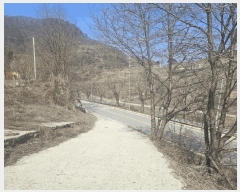  2025Ÿ��737  �����