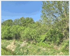  2025Ÿ��934 ��� ���ֽ� �߾�ž�� ���︮ 307      ����(��)���