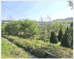  2025Ÿ��934 ��� ���ֽ� �߾�ž�� ���︮ 307      ����(��)���