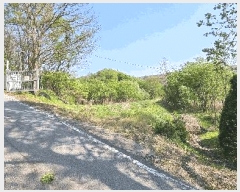  2025Ÿ��934 ��� ���ֽ� �߾�ž�� ���︮ 307      ����(��)���