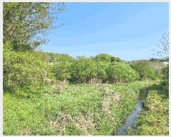  2025Ÿ��934 ��� ���ֽ� �߾�ž�� ���︮ 307      ����(��)���