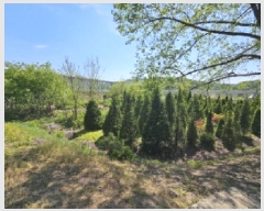  2025Ÿ��934 ��� ���ֽ� �߾�ž�� ���︮ 307      ����(��)���