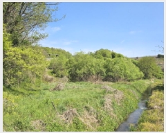  2025Ÿ��934 ��� ���ֽ� �߾�ž�� ���︮ 307      ����(��)���