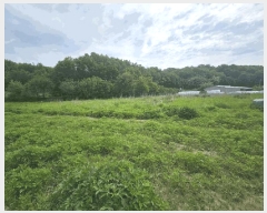  2025Ÿ��996 ��� ���ֽ� �ݰ��� ������ 363-2      ����(��1)���