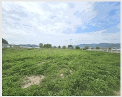  2025Ÿ��996 ��� ���ֽ� �ݰ��� ������ 363-2      ����(��1)���