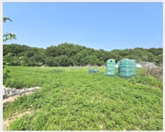  2025Ÿ��996 ��� ���ֽ� �ݰ��� ������ 363-2      ����(��1)���