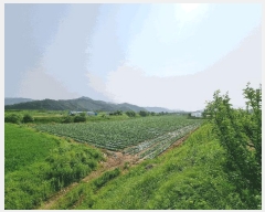  2025Ÿ��1098 ��� ���ֽ� ������ ��踮 326-12      ��Ÿ�������